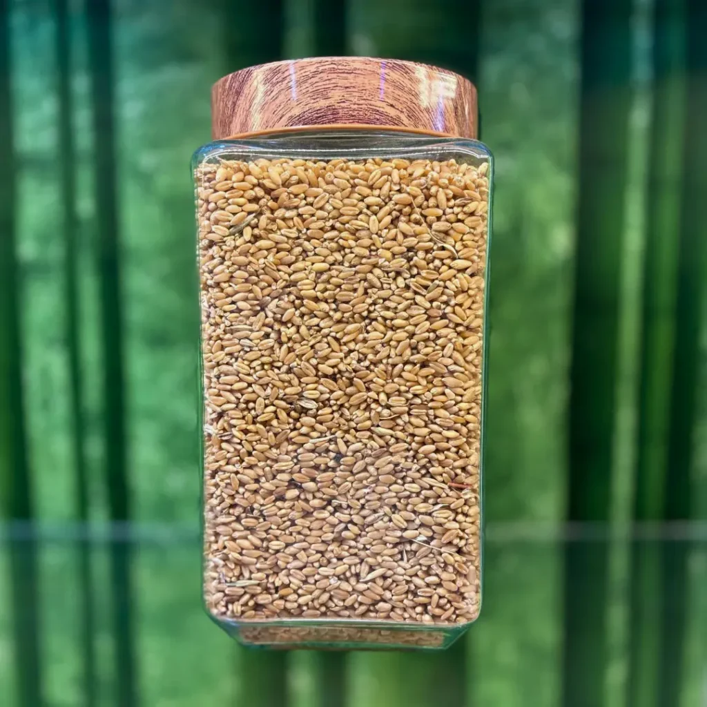 Wheat